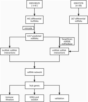 Identification of Immune Infiltration-Related ceRNAs as Novel Biomarkers for Prognosis of Patients With Primary Open-Angle Glaucoma